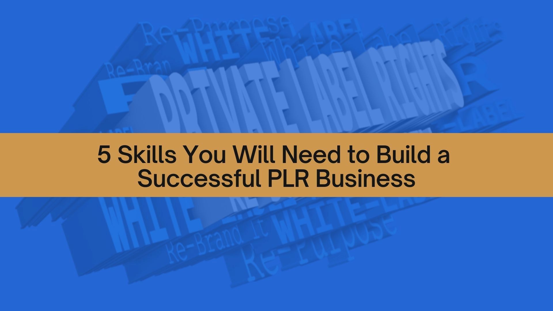 5 Skills You Will Need to Build a Successful PLR Business